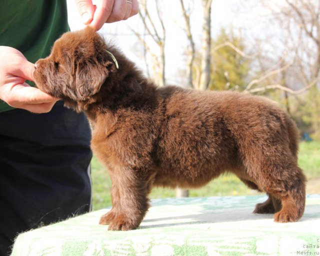 Фотография № 91840