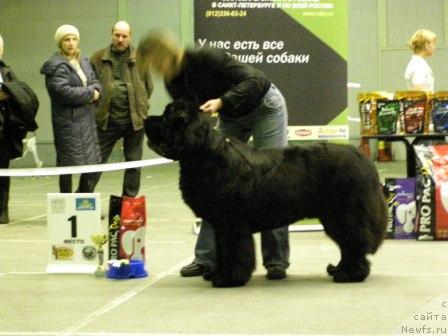 Фотография № 9185