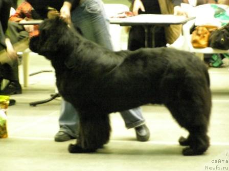 Фотография № 9186