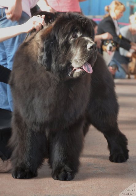 Фотография № 91875