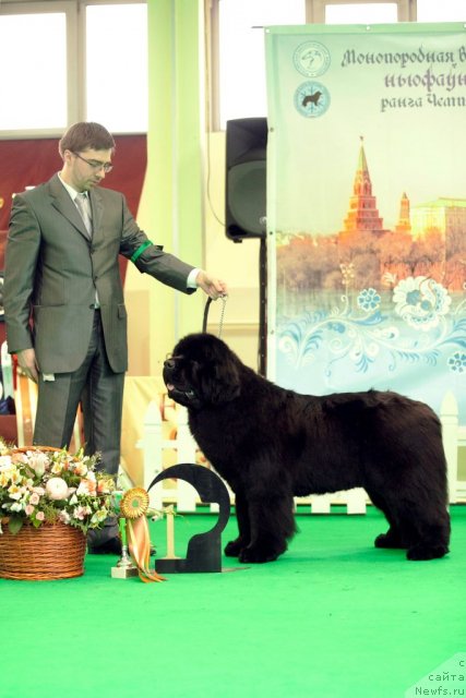 Фотография № 91901