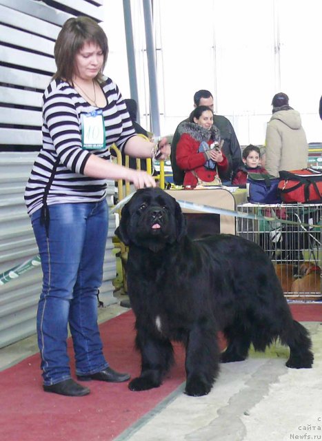 Фотография № 91912