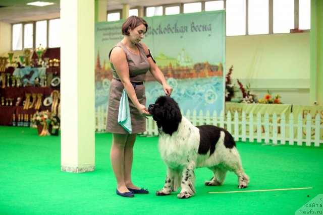 Фотография № 91915