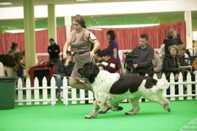 Фотография № 91917