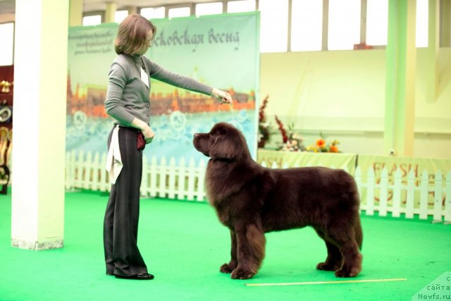 Фотография № 91919