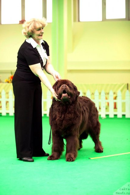 Фотография № 91921