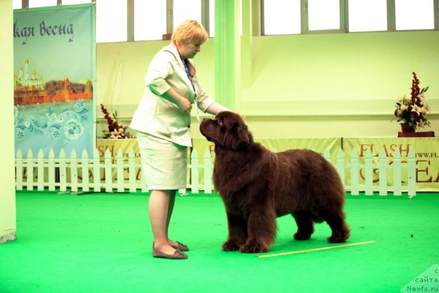 Фотография № 91923