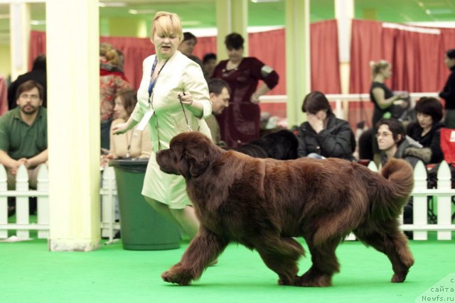 Фотография № 91924