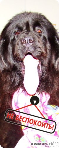 Фото: Алия Абдурахманова