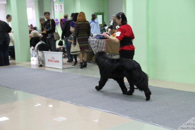 Фотография № 91958