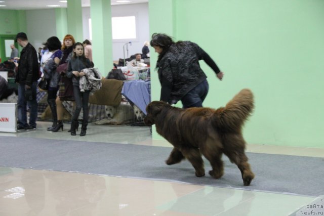 Фотография № 91969