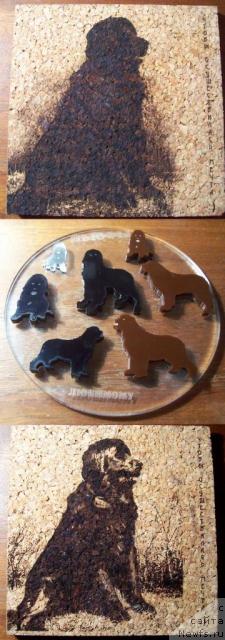 Фотография № 9197