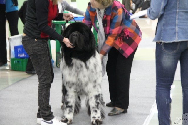 Фотография № 91971