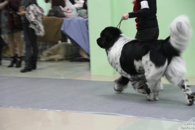 Фотография № 91972