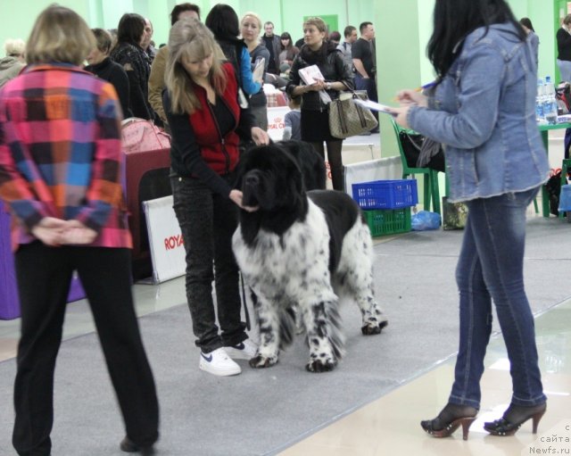 Фотография № 91973