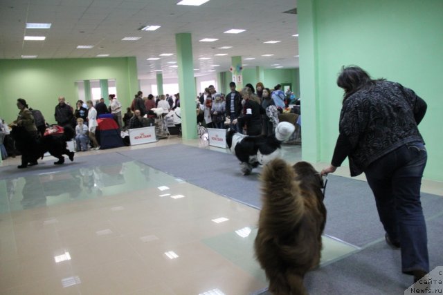 Фотография № 91975