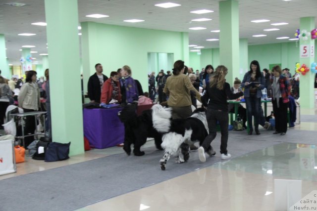 Фотография № 91977