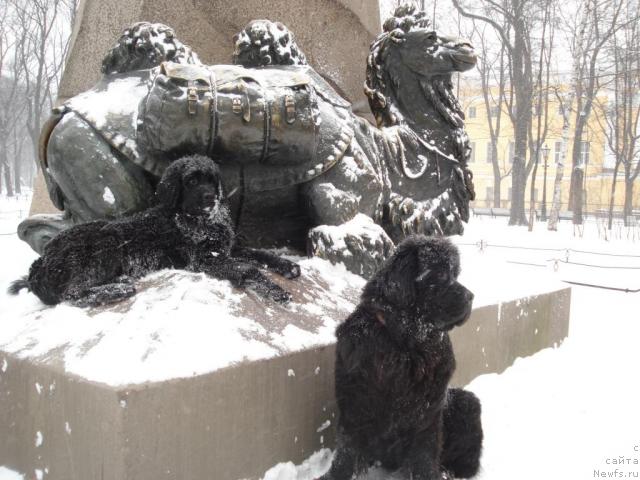 Фотография № 9198