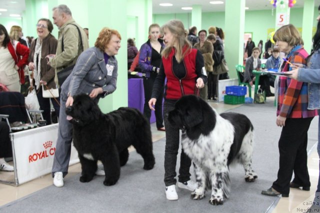 Фотография № 91986