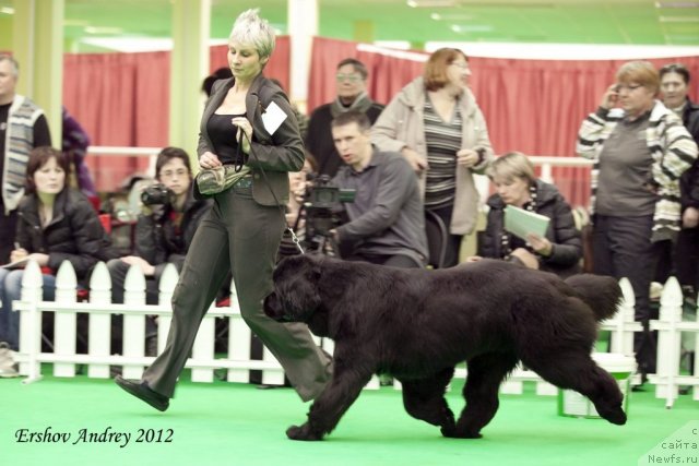 Фотография № 91993