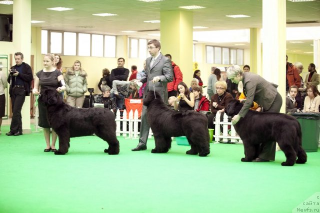 Фотография № 91994