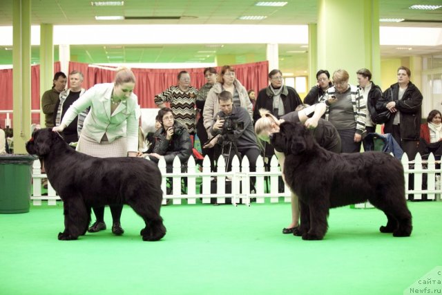 Фотография № 91995