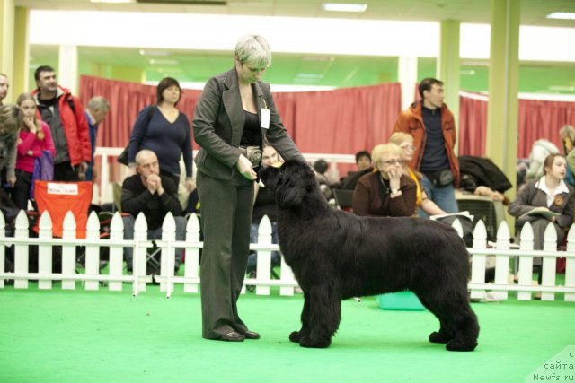 Фотография № 91996