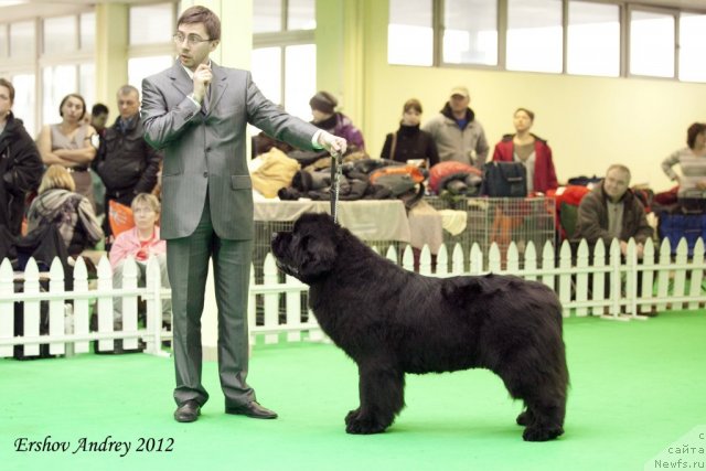 Фотография № 91997