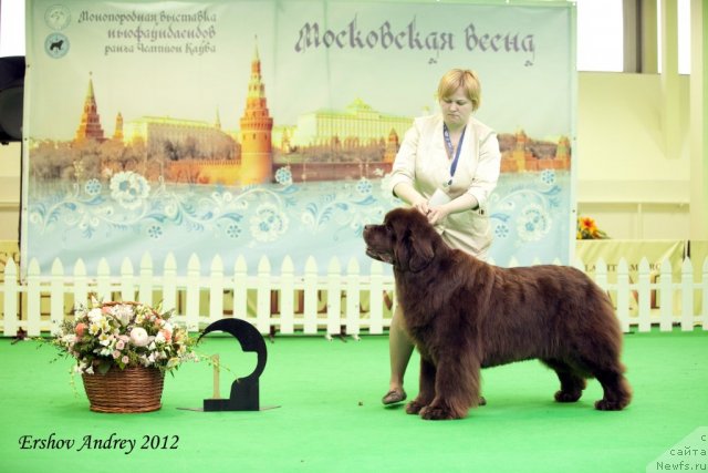 Фотография № 91999