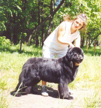 Фотография № 92