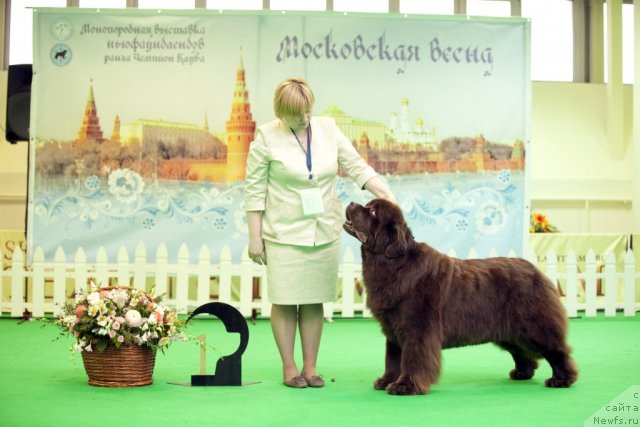 Фотография № 92000