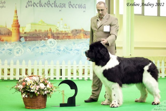 Фотография № 92004