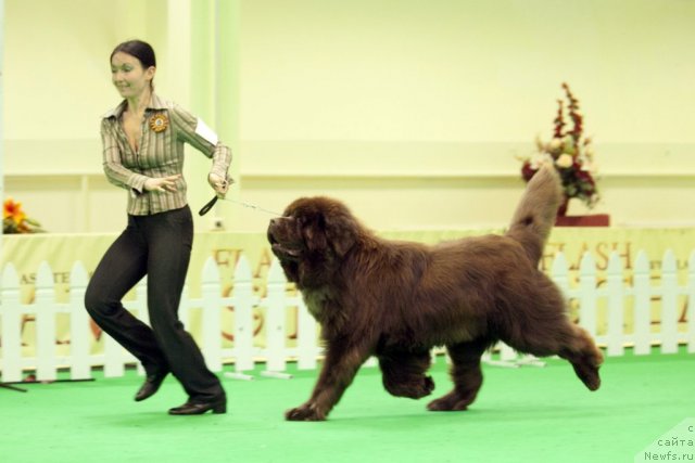 Фотография № 92006