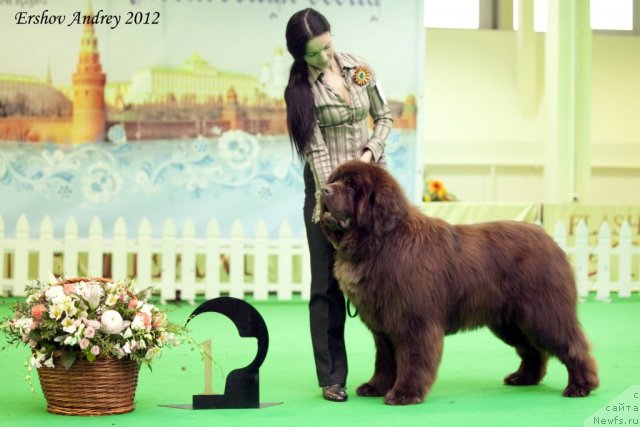 Фотография № 92007