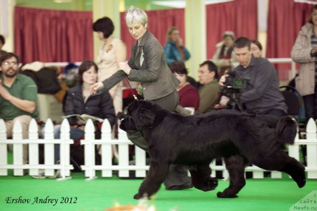 Фотография № 92008