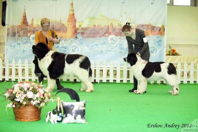 Фотография № 92014