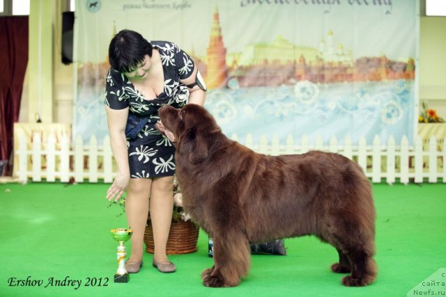 Фотография № 92015