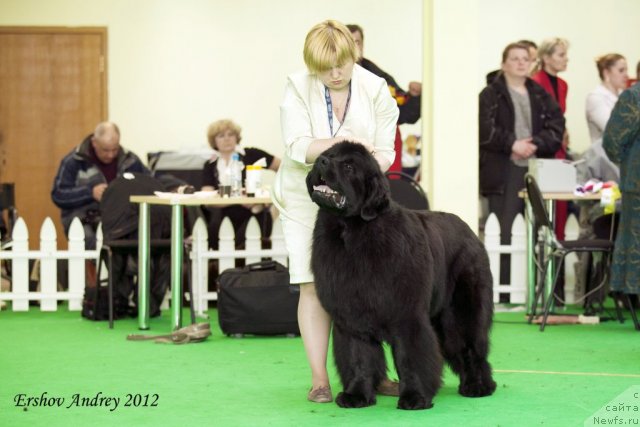 Фотография № 92018