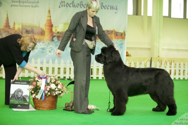 Фотография № 92031