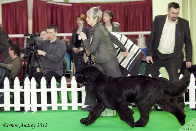 Фотография № 92041