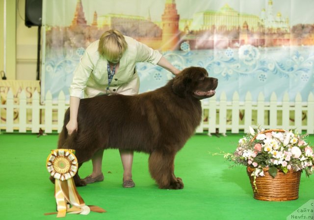 Фотография № 92046