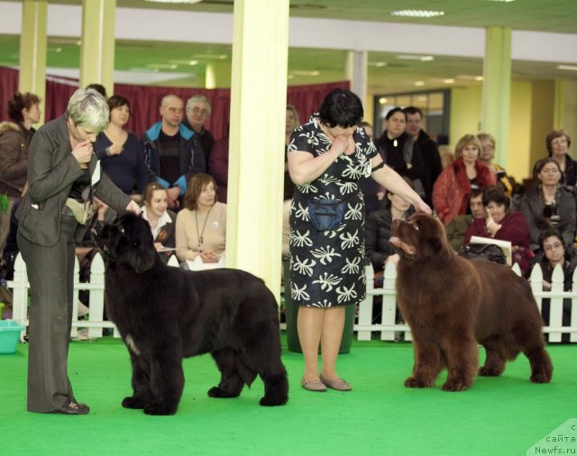 Фотография № 92048