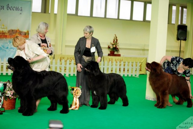 Фотография № 92049