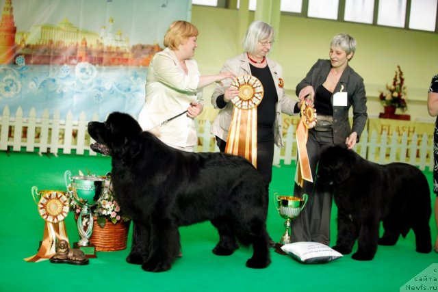 Фотография № 92052