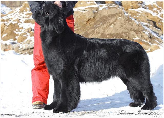 Фотография № 9206