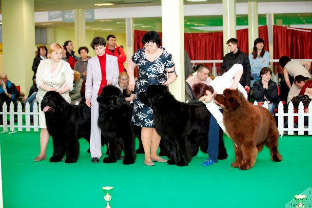 Фотография № 92061