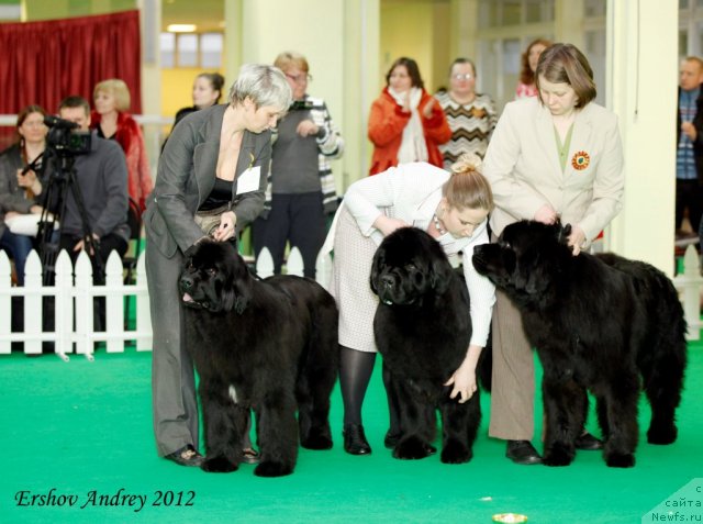 Фотография № 92062