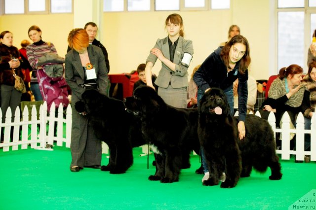 Фотография № 92066