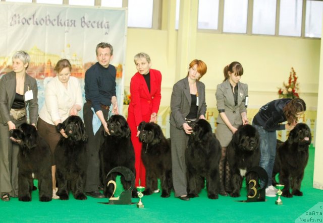 Фотография № 92070