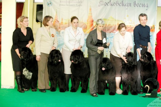 Фотография № 92074